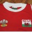 Wales 92