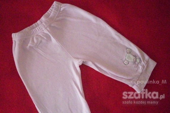 spodnie dresowe NEXt