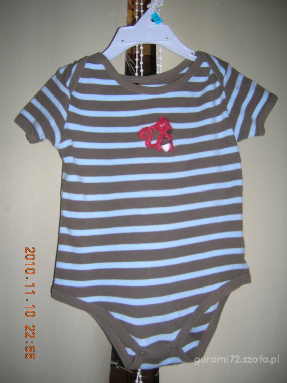 milusie body z wiewiórką