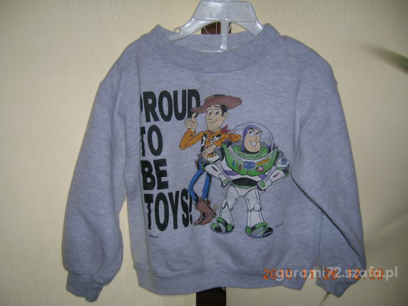 Fajna szara bluza z toy story