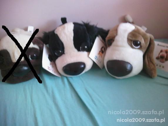 NOWE PIESKI CENA Z PRZESYŁKĄ