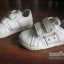 adidaski reebok r20