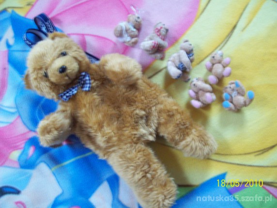 fajny misiowy komplet z sagi