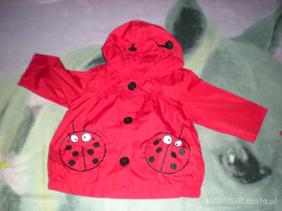 WIOSENNA KURTECZKA BIEDRONKA