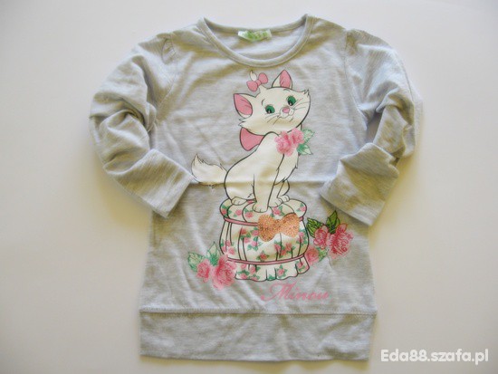 NOWA SZARA KOTKA MARIE