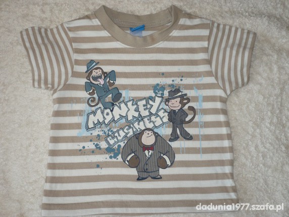 Pasiasty T shirt z małpkami Adams od3do6m