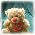 Nowy miś Teddy Bear firmy Caltoy z USA