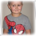 TSHIRT SPIDER MAN