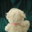 Nowy biały miś Teddy Bear firmy Caltoy z USA