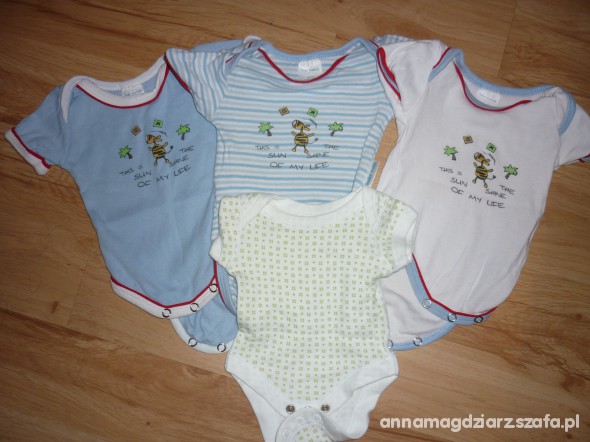 bodziaki 56 cena za 3 szt