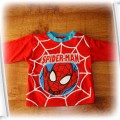 Spiderman 80