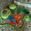 Fisher Price rainforest z pilotem i projektorem