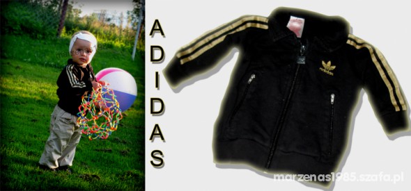 Bluza adidas rozm 80 JEDYNA