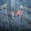 SPODENKI LEVIS