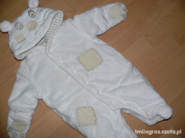 ST BERNARD 0 3 MIES WYPRZEDAZ