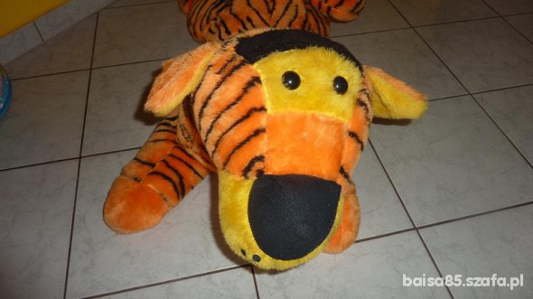 baaardzo duży tygrys