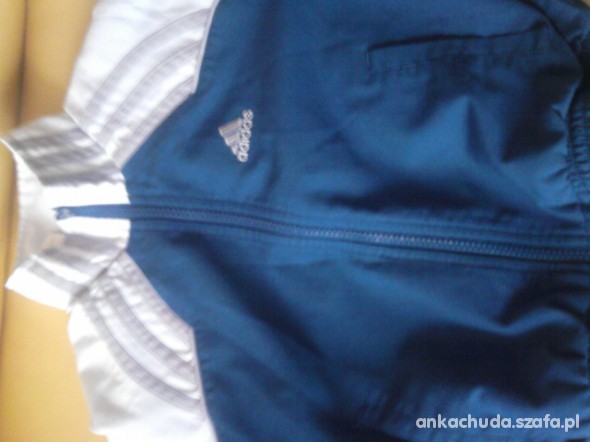 bluza adidas