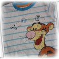 bluzka koszulka dla chłopca tygrys