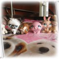 littlest pet shop