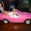 Barbie auto