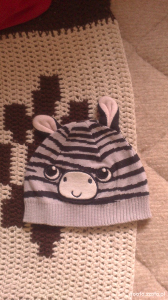 czapka zebra