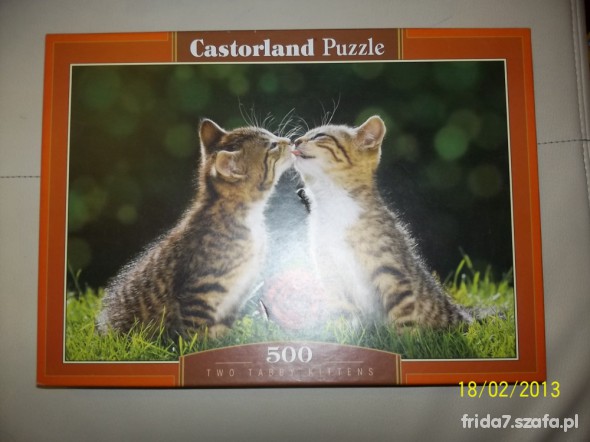 puzzle z kotkami Castorland 500 el