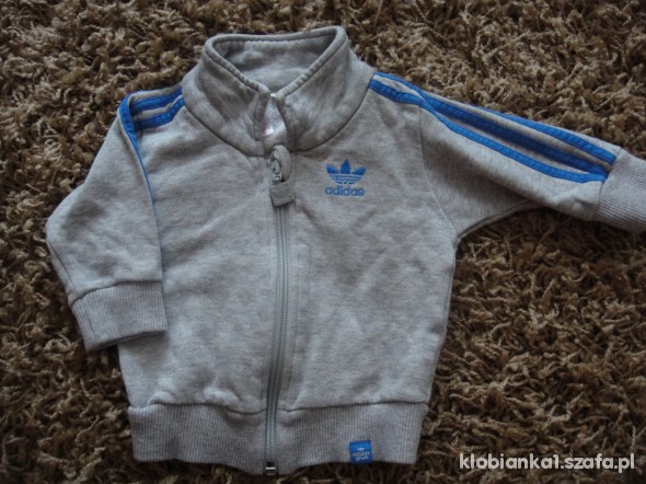 bluza adidas