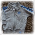 bluza adidas