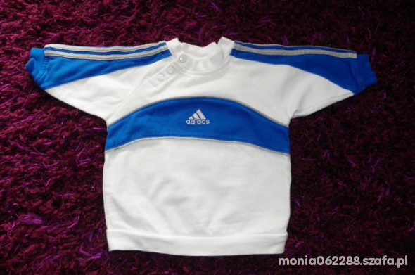 bluza adidas