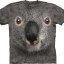 tshirt koala the Mountain amerykański rozmiar M