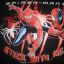 98 104 spiderman bluzka