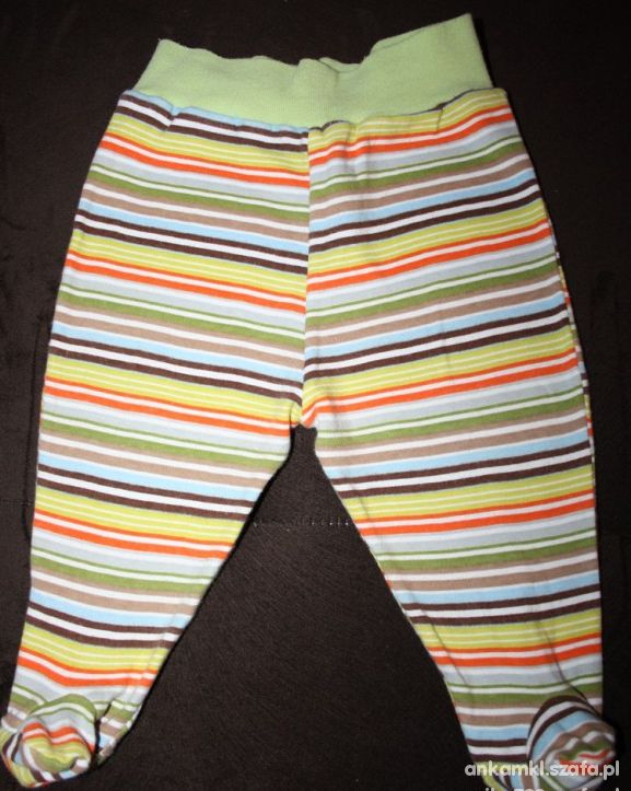 Półśpiochy w paseczki