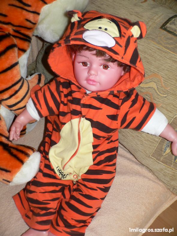 PROMOCJA DNIA 80 86 CM TYGRYSEK