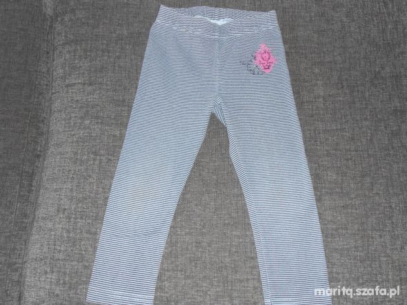 leginsy coccodrilo 92