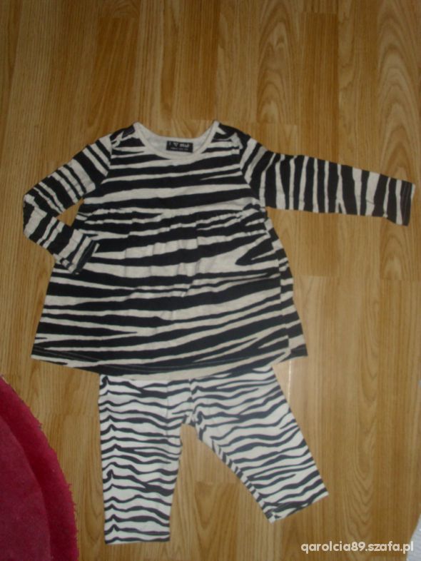 NEXT do kolekcji ZEBRA plus legginsy zebra hm