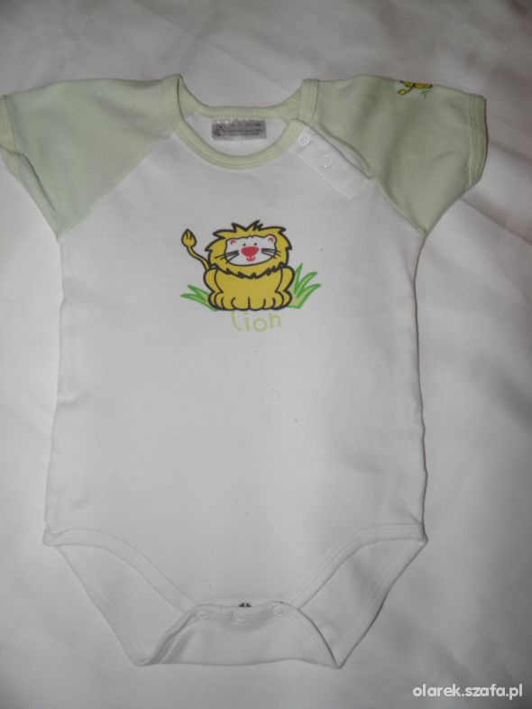 Biało zielone body z motywem małego lewka