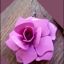 Fantastyczne różowe duuuże róże