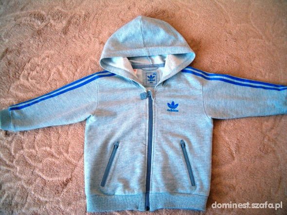 Szara bluza adidas