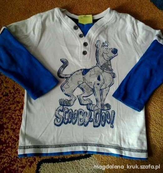 bluzeczki z motywem bajek Tom Scooby