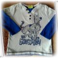 bluzeczki z motywem bajek Tom Scooby