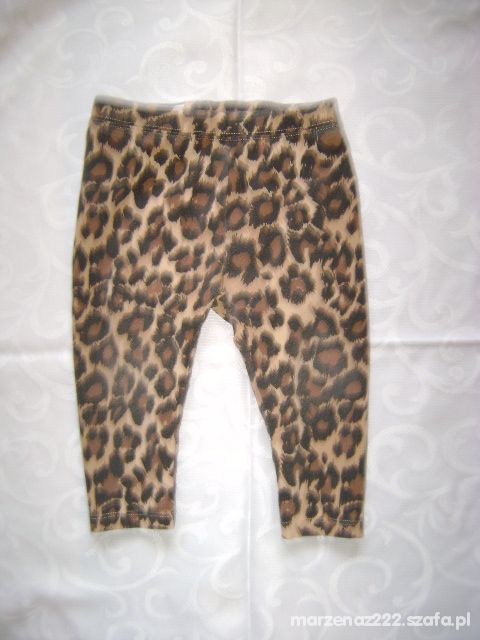 Gap Legginsy panterka roz 12 18 msc 80 86 cm