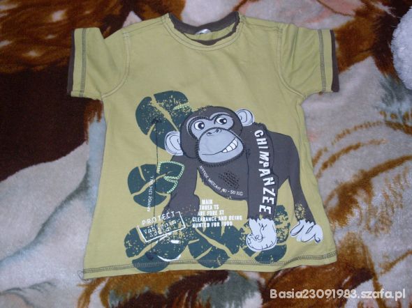 koszulka z małpką 116