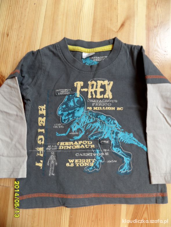 Bluzeczka z dinozaurem 98