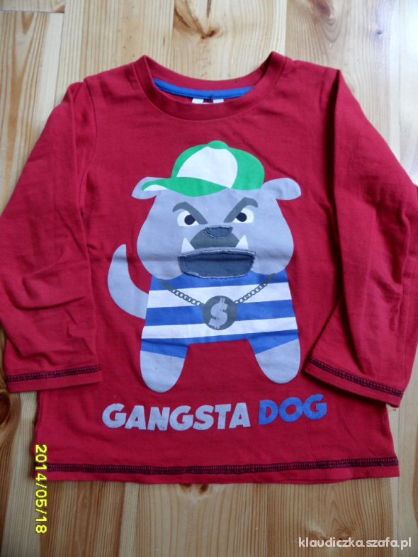 Czerwona gangsta dog 98