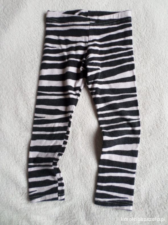 Leginsy zebra 98cm NEXT