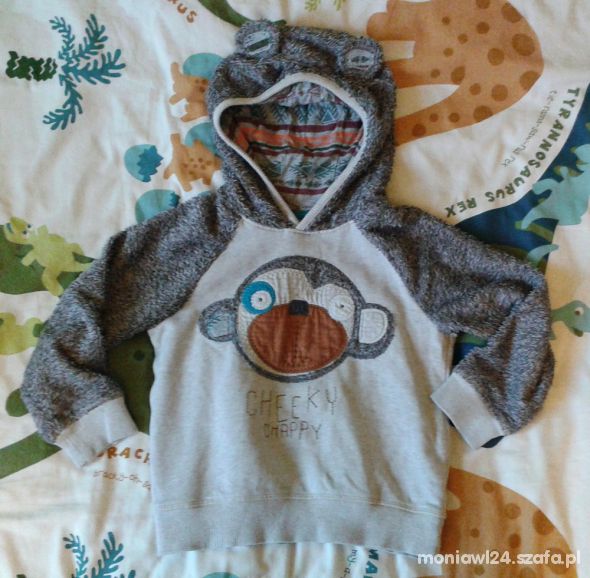 Misiowa bluza NEXT 4 do 5 lat