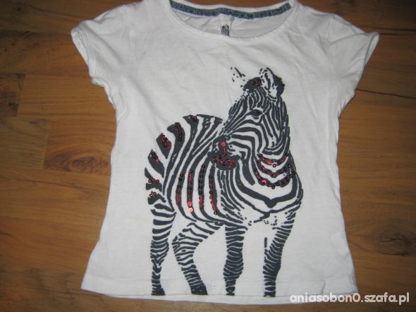 BLUZECZKA ZEBRA