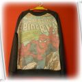 Bluza SpiderMan szara Marvel Comics