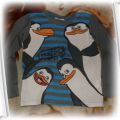 bluzeczka z pingwinami