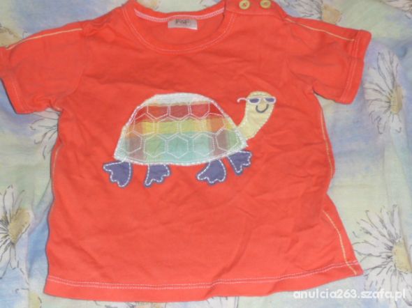 F F Bluzeczka żółwik rozmiar 74